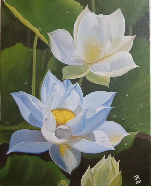 Painting titled "Flor-de-lótus" by Júnior Camargo, Original Artwork, Oil