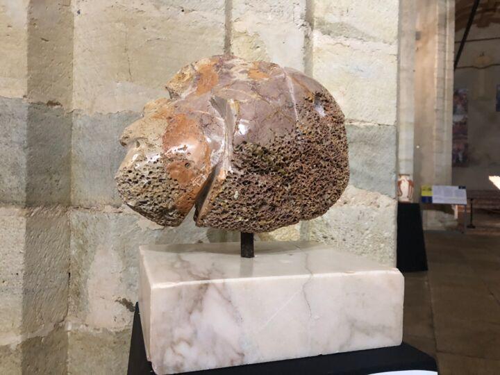 Скульптура под названием "Peixe fóssil" - Pedro Botelho, Подлинное произведение искусства, Камень