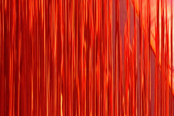 Digital Arts titled "Simply red" by Pedro Luz, Original Artwork