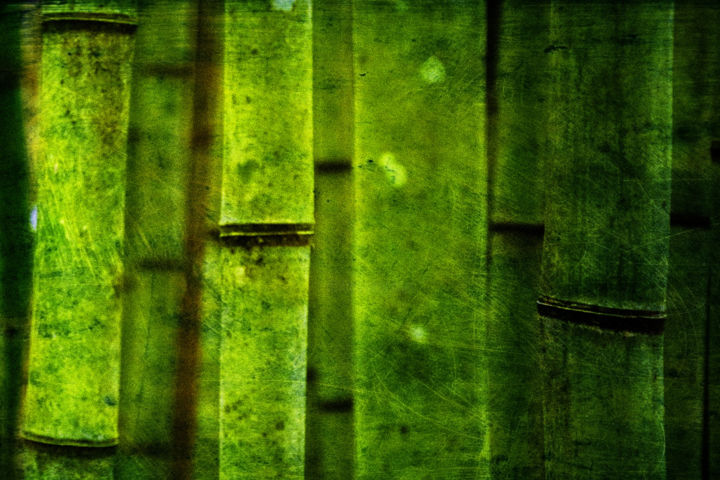 Digital Arts titled "Bamboo" by Pedro Luz, Original Artwork, Digital Painting