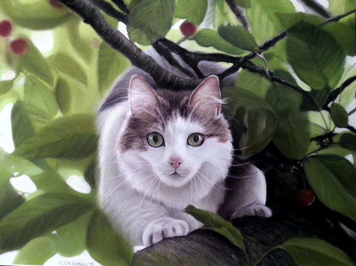 Painting titled "Chat dans l'arbre" by Cathy Cheneau, Original Artwork, Pastel