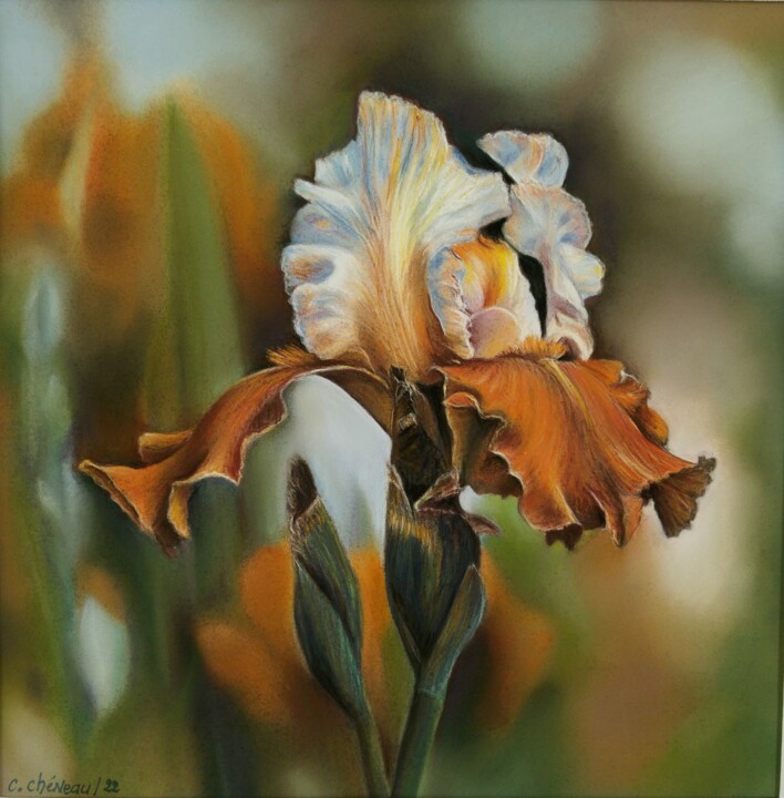 Painting titled "Iris" by Cathy Cheneau, Original Artwork, Pastel