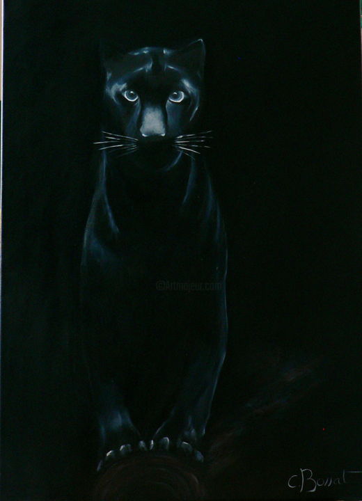 Panthere Noire Jpg Painting By Corinne Perrot Artmajeur Panthere Noire Jpg Painting By Corinne Perrot Artmajeur