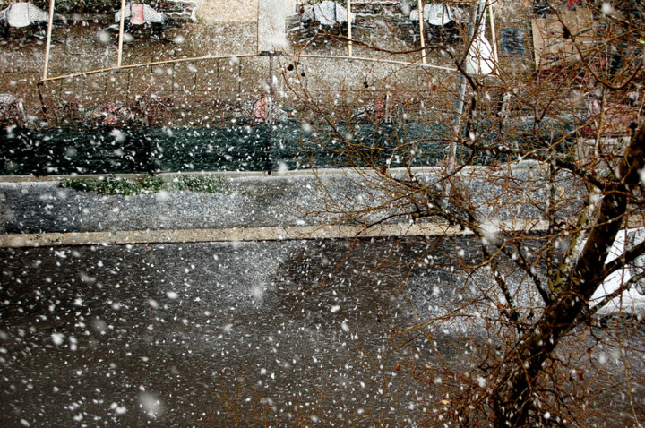 Fotografia intitulada "Snow" por Pellicano, Obras de arte originais, Fotografia digital