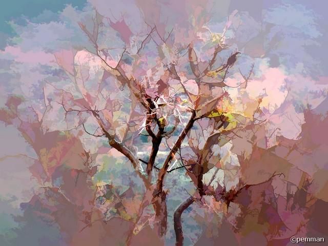 Φωτογραφία με τίτλο "Forest Tree" από Emmanouil Peponas, Αυθεντικά έργα τέχνης,