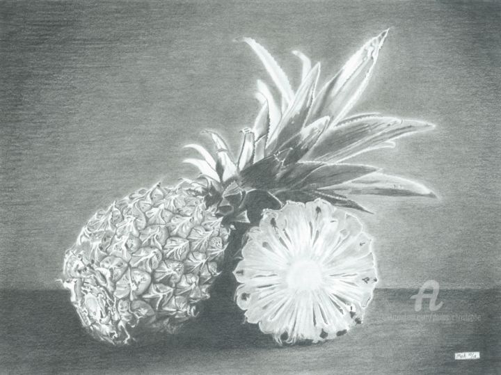 Dessin intitulée "Les Ananas" par Moa Dessins, Œuvre d'art originale