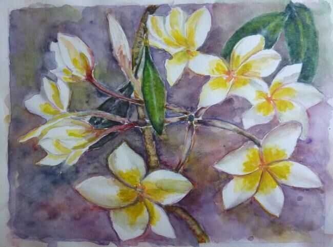 Painting titled "Fleurs de frangipan…" by Penny G Peckmann, Original Artwork