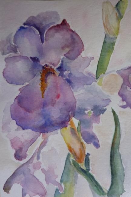 Peinture intitulée "Iris de mon jardin" par Penny G Peckmann, Œuvre d'art originale, Aquarelle