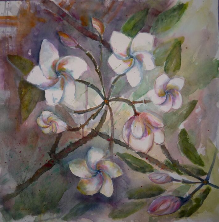 Peinture intitulée "Fleurs de frangipan…" par Penny G Peckmann, Œuvre d'art originale, Aquarelle