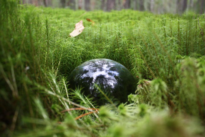 Фотография под названием "Planet Moss." - Irina Green, Подлинное произведение искусства, Цифровая фотография
