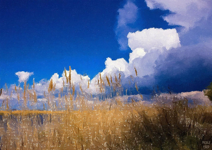 Peinture intitulée "L'Etang, Camargues,…" par Peter Ford, Œuvre d'art originale, Huile