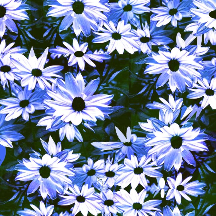 Digital Arts titled "Field of  flowers" by Peter Jalesh, Original Artwork, Digital Painting