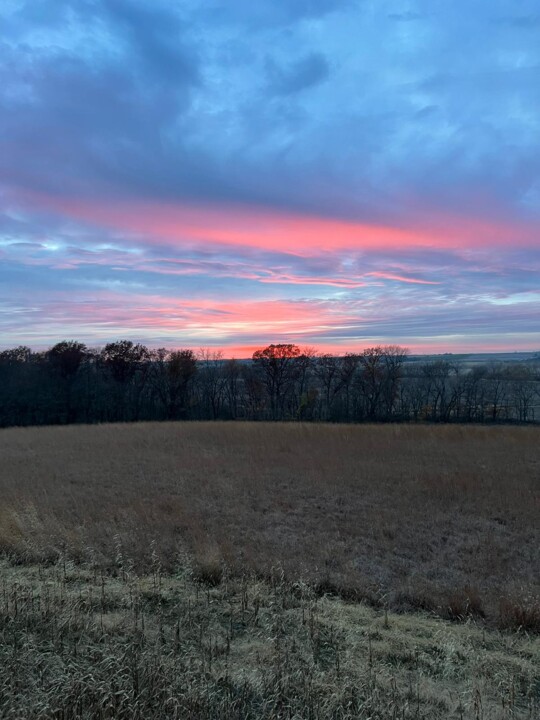 Photographie intitulée "Field at Sunset" par Peter Malmberg, Œuvre d'art originale, Photographie numérique