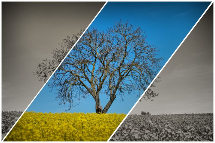 Photography titled "Der Baum" by Peter Reichel, Original Artwork, Manipulated Photography