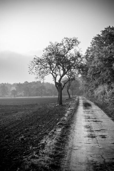 Fotografie mit dem Titel "The way..." von Peter Reichel, Original-Kunstwerk,