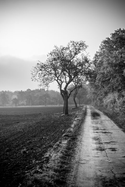 "The way..." başlıklı Fotoğraf Peter Reichel tarafından, Orijinal sanat, Dijital Fotoğrafçılık