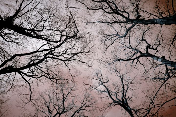 "To the Sky..." başlıklı Fotoğraf Peter Reichel tarafından, Orijinal sanat, Dijital Fotoğrafçılık