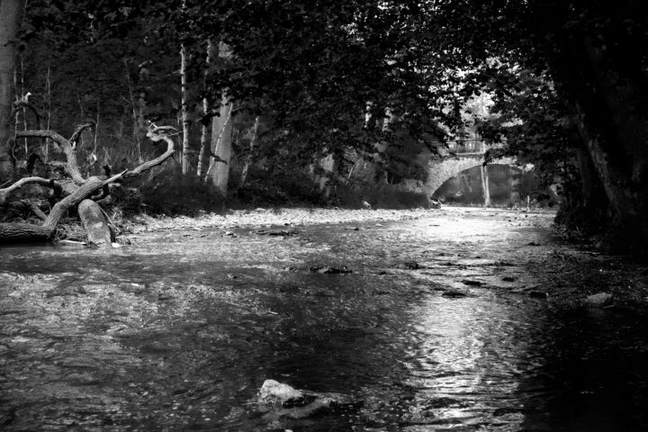 Photographie intitulée "Dark water" par Peter Reichel, Œuvre d'art originale, Photographie numérique