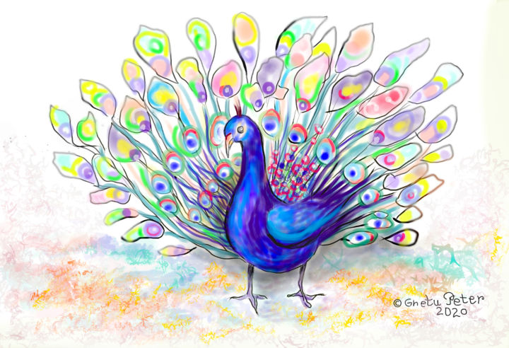 Digital Arts titled "Peacock 2020" by Peter Ghetu, Original Art, Digital Painting