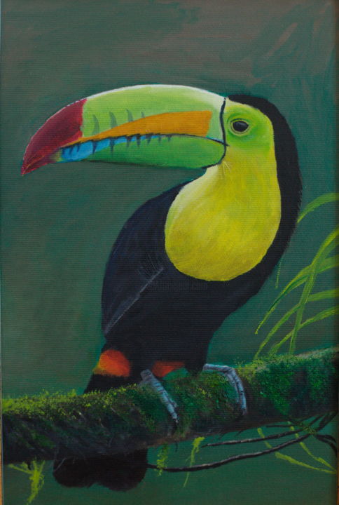 Pintura intitulada "Toucan" por Peter Hanzlík, Obras de arte originais, Óleo