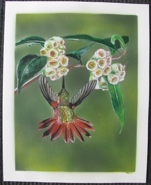 Peinture intitulée "colibri scintillant…" par Rvm, Œuvre d'art originale, Huile