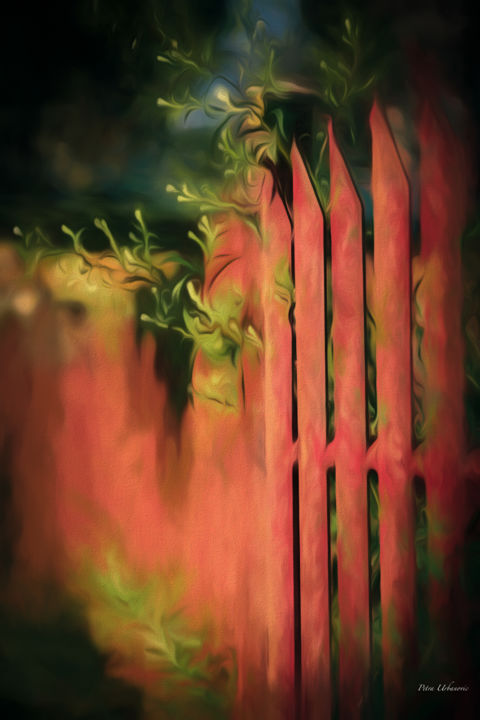 Arte digitale intitolato "Fence.jpg" da Petra Urbanovic, Opera d'arte originale, Fotografia manipolata