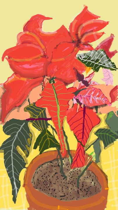 Weihnachtsstern 914 Cm X 1526cm Digital Arts By Petra