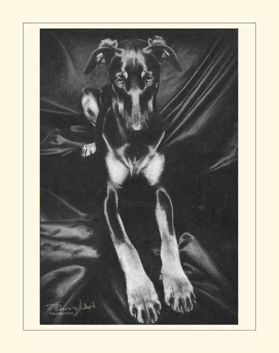 Dessin intitulée "DOBERMAN" par Léa Phenix, Œuvre d'art originale, Fusain