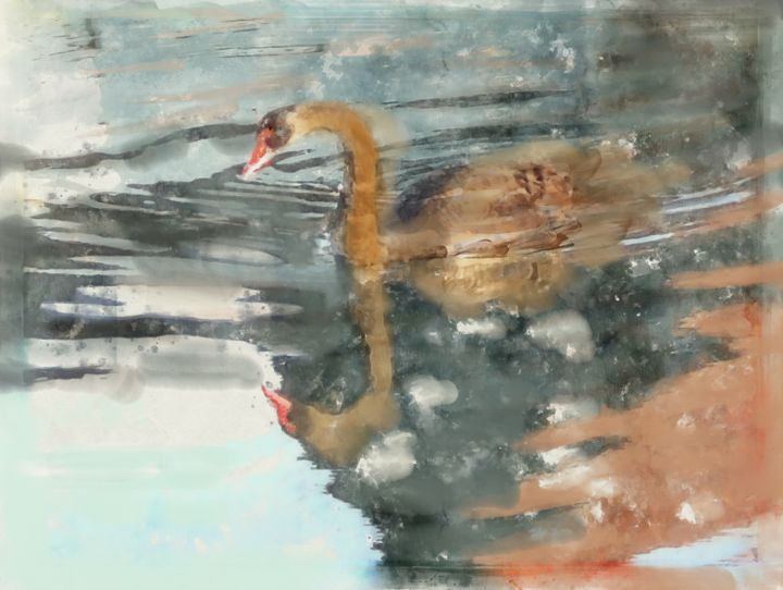 Digital Arts titled "Cygne reflet" by Mary Kassiope, Original Artwork, Digital Painting