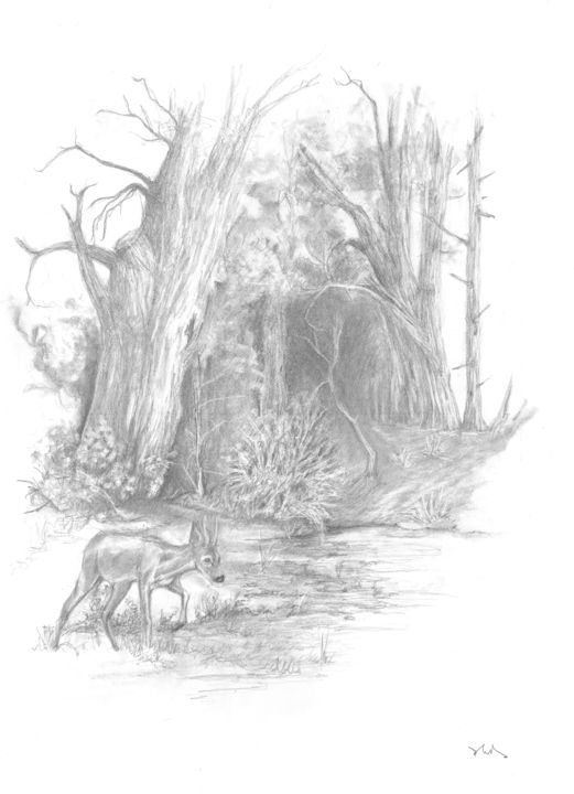 Dessin intitulée "A l'orée du bois" par Philip Dietrich, Œuvre d'art originale, Fusain