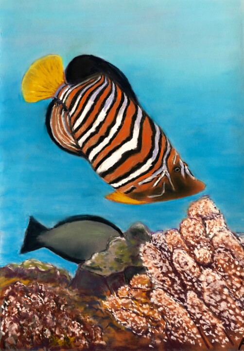 Drawing titled "Poissons exotiques." by Philippe Allier, Original Artwork, Pastel