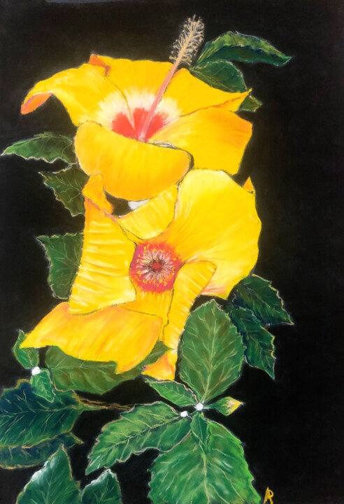 Dessin intitulée "Fleurs d’ Hibiscus." par Philippe Allier, Œuvre d'art originale, Pastel