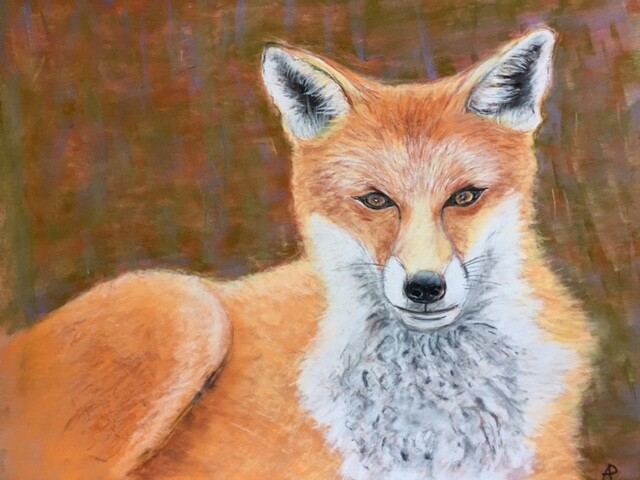 Drawing titled "Le renard." by Philippe Allier, Original Artwork, Pastel
