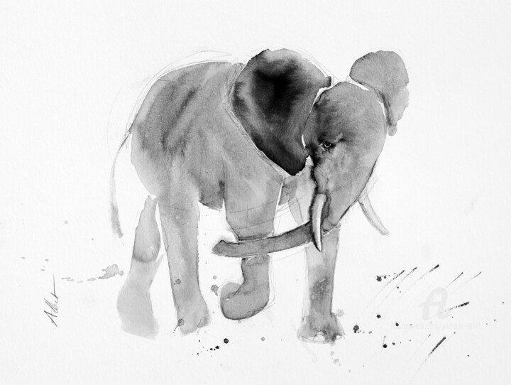 Dessin intitulée "Eléphant 010" par Philippe Alliet, Œuvre d'art originale, Encre Monté sur Carton