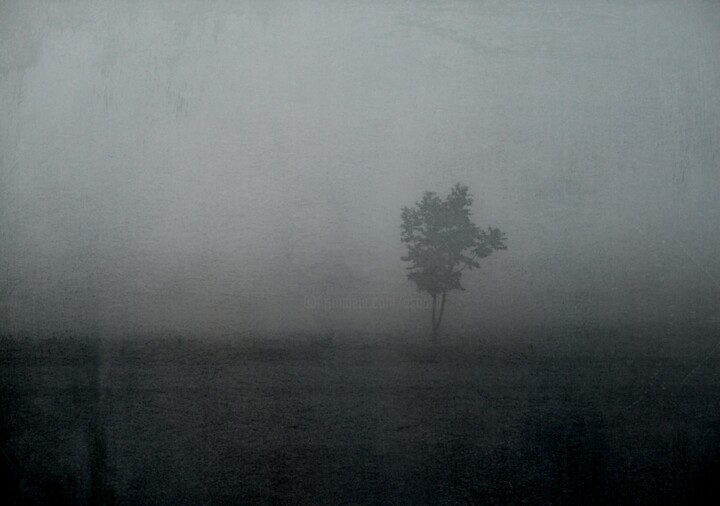 Photography titled "alone........." by Philippe Berthier, Original Artwork, Digital Photography