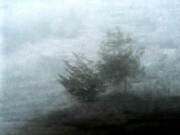 Photography titled "Couple............." by Philippe Berthier, Original Artwork, Digital Photography