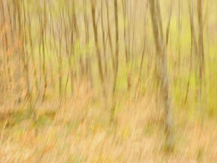 Fotografía titulada "Après la pluie...." por Philippe Berthier, Obra de arte original, Fotografía digital