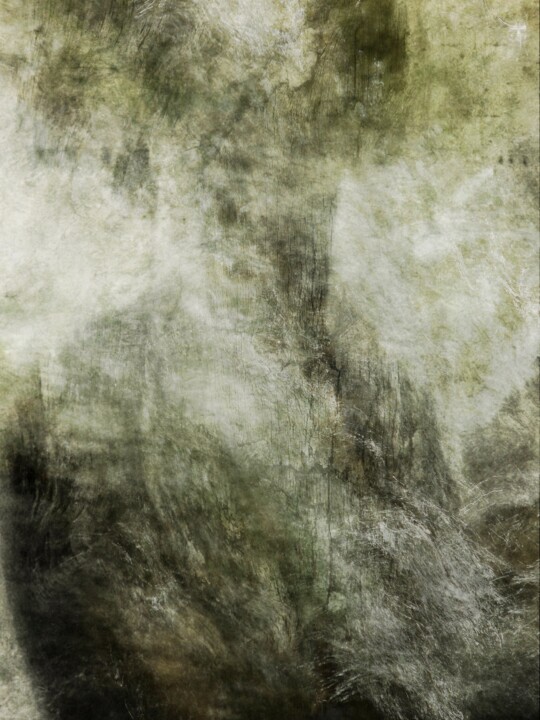 Digital Arts titled "Portrait d'une Jeun…" by Philippe Berthier, Original Artwork, Photo Montage