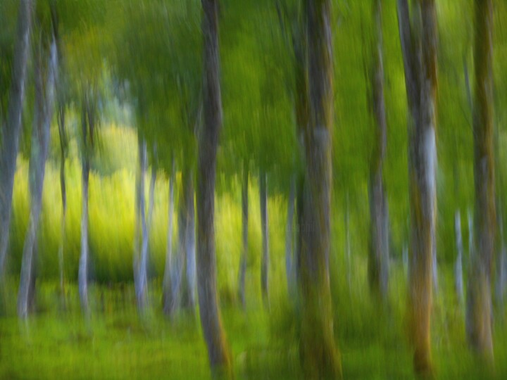 Fotografía titulada "Là ou l'herbe pouss…" por Philippe Berthier, Obra de arte original, Fotografía digital