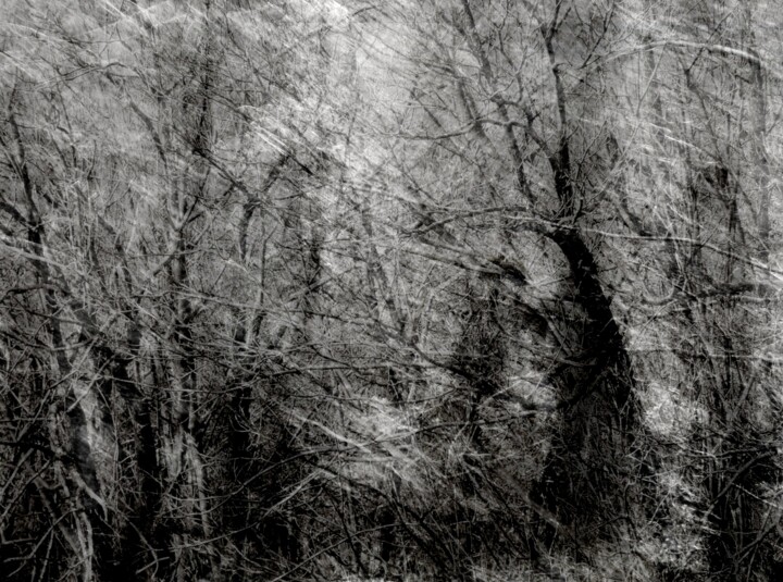 Photography titled "Contre-Défragmentat…" by Philippe Berthier, Original Artwork, Manipulated Photography