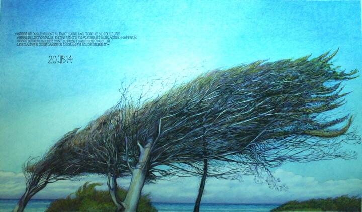 Drawing titled "" l'arbre froissé "" by Philippe Brobeck, Original Artwork, Pencil