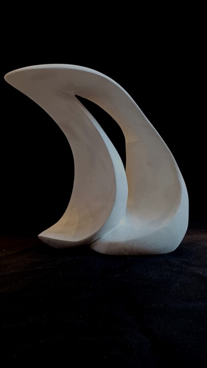 Sculpture titled "Wave" by Philippe Cotin, Original Artwork, Stone