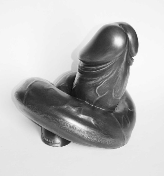 Skulptur mit dem Titel "-Abstinence ou Frus…" von Philippe Hamelle, Original-Kunstwerk