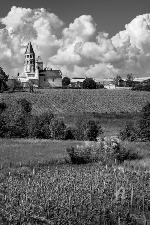 Photography titled "vignobles beaujolai…" by Philippe Nannetti, Original Artwork