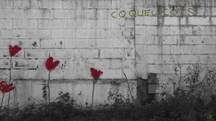 Photography titled "Les coquelicots" by Philippe Rozier (Photo-EOS), Original Artwork, Digital Photography