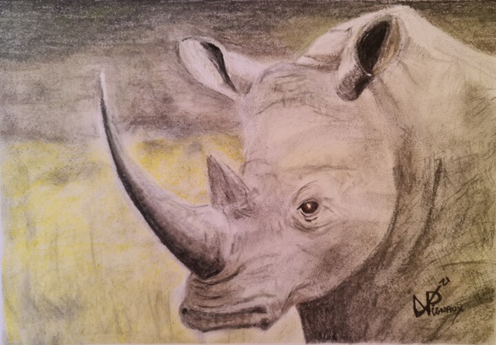 "Rhino féroce" başlıklı Tablo Philippe Vignaux tarafından, Orijinal sanat, Pastel