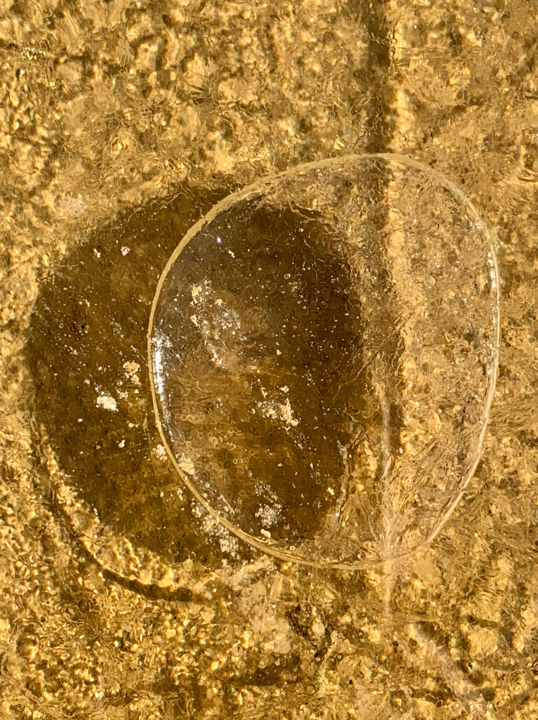 Photographie intitulée "E9071" par Philippe Wittner, Œuvre d'art originale, Photographie non manipulée