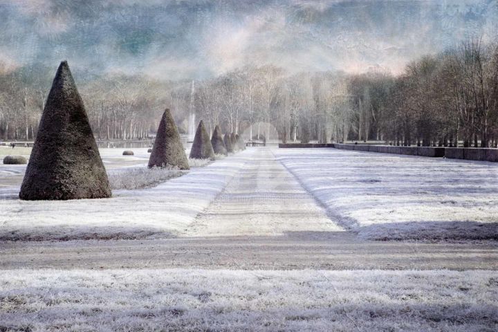 Fotografia intitulada "Parc de Seaux" por Philippe Bousseau, Obras de arte originais, Fotografia digital