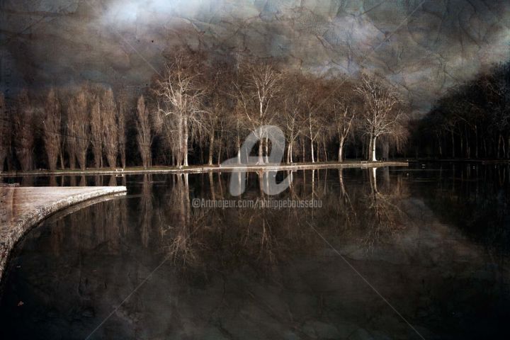 Photographie intitulée "Plan d'eau du Parc…" par Philippe Bousseau, Œuvre d'art originale, Photographie numérique