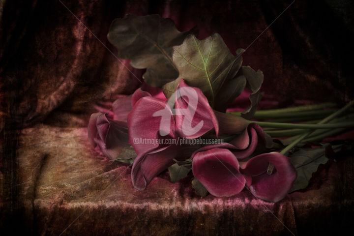 Photography titled "fleur" by Philippe Bousseau, Original Artwork, Digital Photography